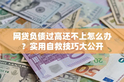 武汉网贷负债过高还不上怎么办?实用自救技巧大公开 武汉网贷负债过高还不上怎么办?实用自救技巧大公开
