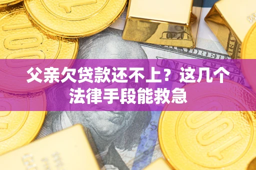 武汉父亲欠贷款还不上?这几个法律手段能救急 武汉父亲欠贷款还不上?这几个法律手段能救急